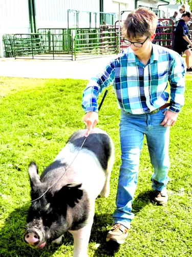 These little piggies went to the Canfield Fair